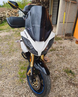 TRIUMPH TIGER 
