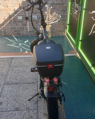 fate bike