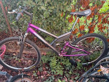 Bici Coppi 7005