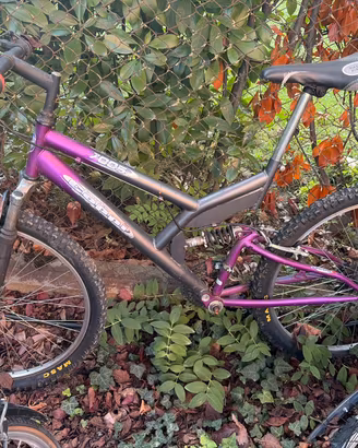 Bici Coppi 7005