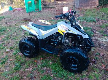 Altro Altro modello - 2025