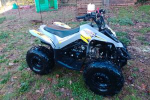 Altro Altro modello - 2025