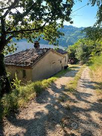 Rustico con terreno