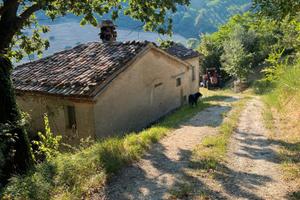 Rustico con terreno