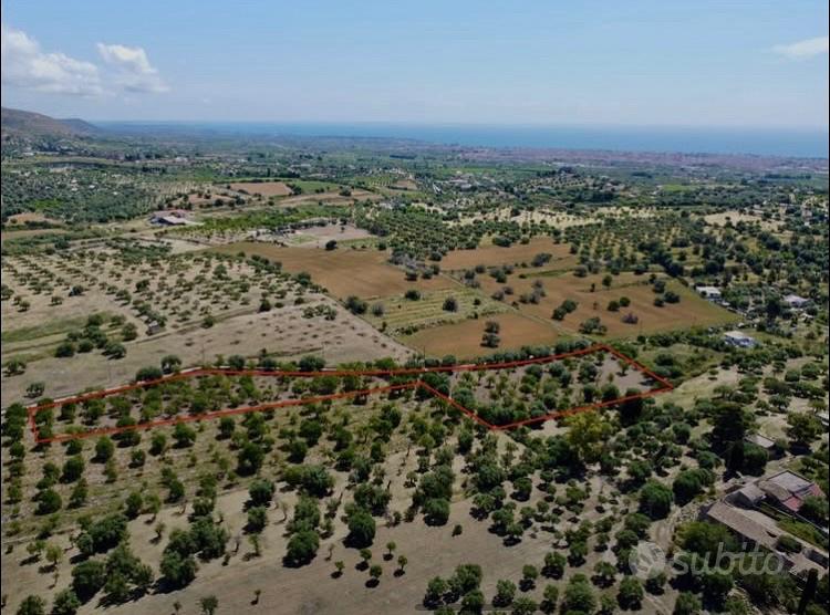 Terreno Contrada Bochini Noto 9000 MQ - Vista 2