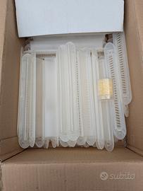 trappole aethina tumida