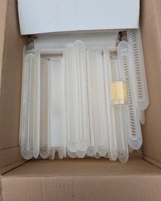 trappole aethina tumida