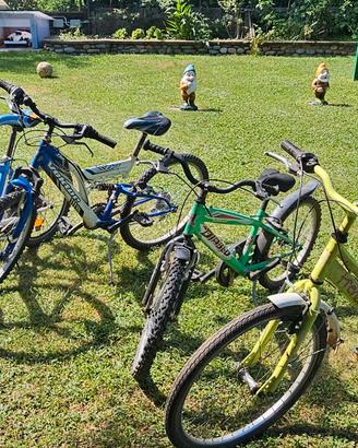 diverse biciclette 