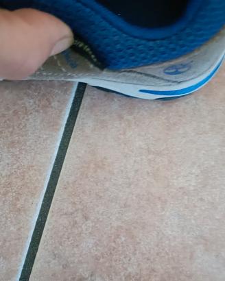 Scarpe Timberland Bimbo