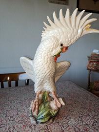Ceramica Ronzan - pappagallo