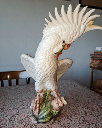 Ceramica Ronzan - pappagallo