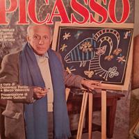 conoscere Picasso