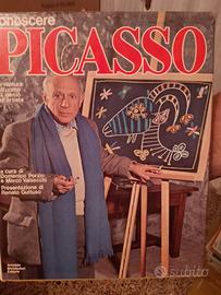 conoscere Picasso