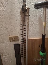 Taglisiepe telwscopica