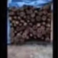 Pali in legbo di castagno da 150cm fino 4 metri