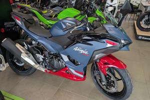 Kawasaki Ninja 500Se