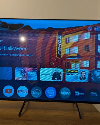 TV Sony 55X90J rotto - 55 pollici