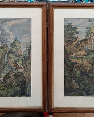 quadro coppia  incisioni  J. E. Ridinger 1698-1767