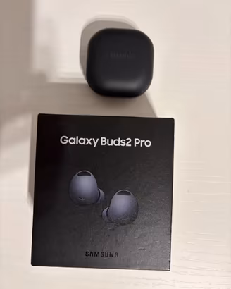 Samsung Galaxy Buds2 Pro Graphite