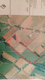 Terreno Agricolo Irriguo
