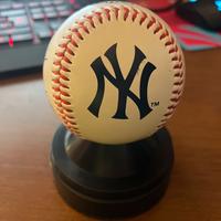 New York Yankees baseball clubhouse rawlings 2006