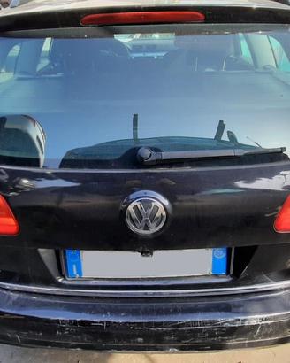 VOLKSWAGEN PASSAT STATION WAGON 2009 - PORTELLONE 