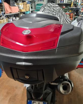 Bauletto tmax 530-560