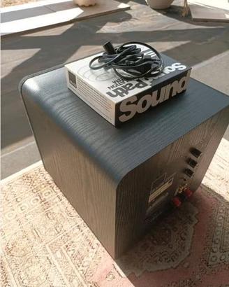SVS SB-1000 subwoofer attivo con SoundPath