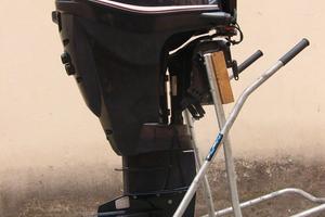 Evinrude Etec 25 più gommone e carrello