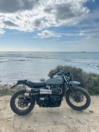 Triumph Street Scrambler 900 - 2022