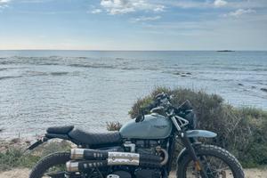 Triumph Street Scrambler 900 - 2022