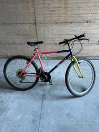 Bicicletta cerchio 26