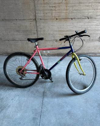 Bicicletta cerchio 26