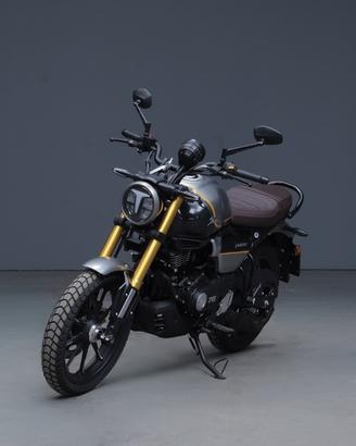 TVS MOTOR Ronin 250