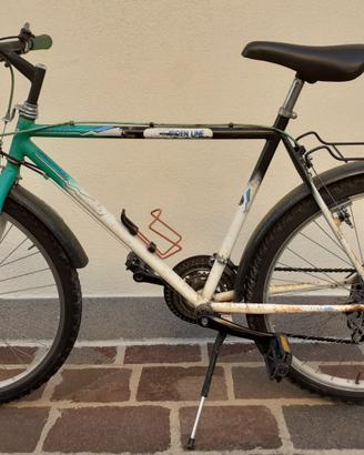 Bicicletta MTB Arden Line Colorado 18 cambi