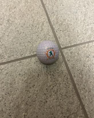 Pallina da golf