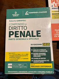Compendio diritto penale 2025