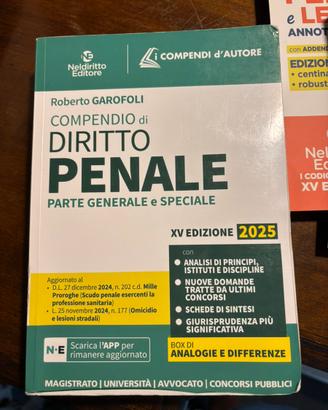 Compendio diritto penale 2025