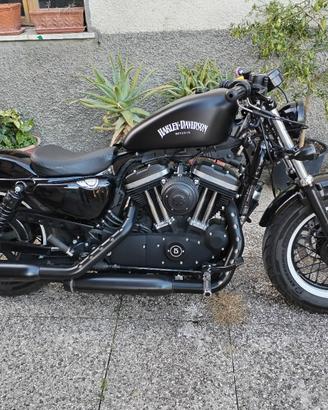 Harley davidson forty eight 2015