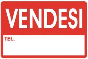 FAVARO VENETO ampio appartamento