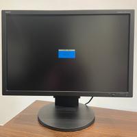 Monitor NEC Multysinc EA241WM