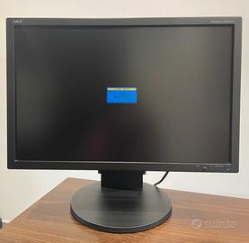 Monitor NEC Multysinc EA241WM