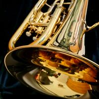 euphonium eufonio flicorno baritono yamaha yep 321