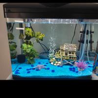  acquario 50litri