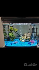  acquario 50litri