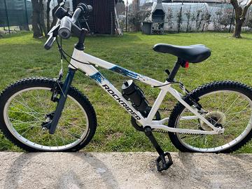 rock rider bici 20 pollici bimbo