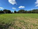 lotto-di-terreno-agricolo-con-fienile