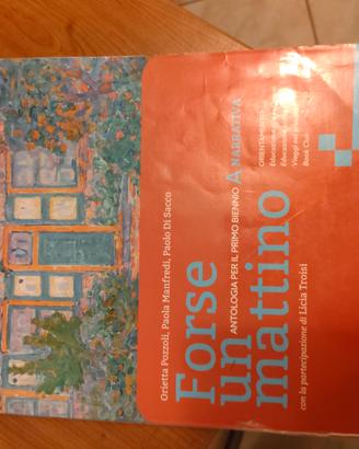 Libro Forse un Mattino