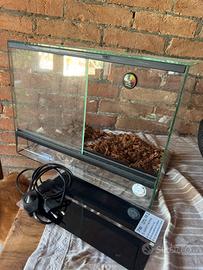 Terrario 40x30 e tappetino riscaldante
