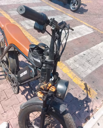 Bici elettrica 2 posti